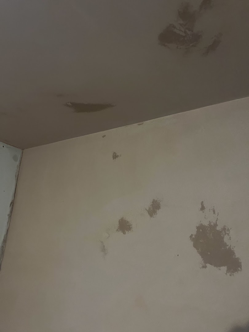 M.T.A Plastering & Decorating — Photos 11